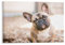 Puzzle 1000 Teile，Eine süße rehbraune Französische Bulldogge，Art Malerei Puzzle 1000 Teile Pädagogisches intellektuelles Dekomprimieren von Spielzeugrätseln Lustige（38x26cm）-168
