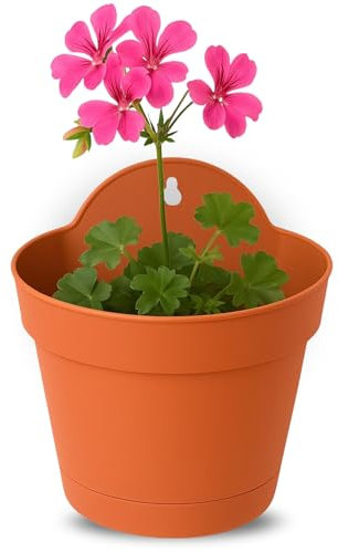 TECHZOCO Macetero con Soporte de Pared, Maceta Redonda plástico, Tiesto Colgar Flores, Fabricado en Polipropileno, Recipiente Pared para Flores, 19 cm diámetro x 12 cm Base x 21,5 cm Alto, Terracota