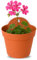 TECHZOCO Macetero con Soporte de Pared, Maceta Redonda plástico, Tiesto Colgar Flores, Fabricado en Polipropileno, Recipiente Pared para Flores, 19 cm diámetro x 12 cm Base x 21,5 cm Alto, Terracota