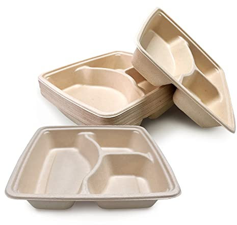 DISPOSABLE GREEN® Assiettes carrées de 25 cm avec 3 compartiments - 25 pièces - Super résistantes - Bagasse de canne à sucre non blanchie, biodégradables, respectueuses de l'environnement