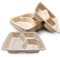 DISPOSABLE GREEN® Assiettes carrées de 25 cm avec 3 compartiments - 25 pièces - Super résistantes - Bagasse de canne à sucre non blanchie, biodégradables, respectueuses de l'environnement