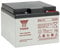 Yuasa NP24-12I Lead Acid Battery - 12V, 24Ah General Purpose VRLA Battery