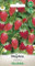 WegAna Fraise des bois Rujana Graines 0,2g Pluriannuelle Graines de fruits Fraise des bois Graines de légumes, Graines de légumes Culture Graines pour serre Jardin