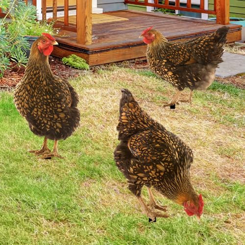 Ltahtliay Tier Deko Garten Einsätze Garten Tierfiguren Acryl Simulierte Hofpfähle Metall Huhn Skulptur Hahn Hofpfahl Henne Yard Skulptur Huhn Gartenstatue (K)