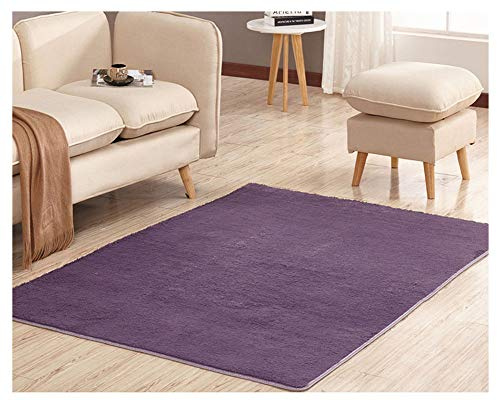 GUOCU Super weich Touch Hochflor Teppiche Modern & Flauschig,Flächenteppich für Schlafzimmer Babyzimmer Wohnzimmer grau Lila 80 * 120cm