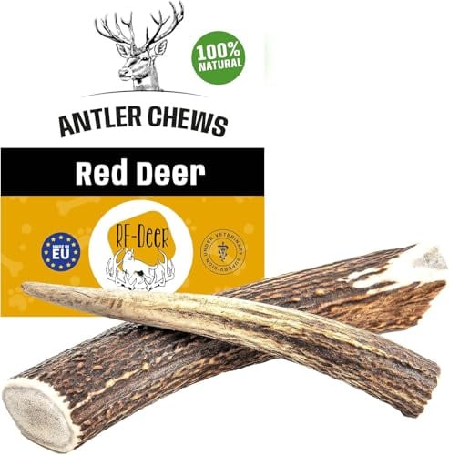 RF-Deer Rothirschgeweih Kausnack für Hunde, Hard L, 14-16 cm, 2 Stück | 100 % natürlich, ohne Farb- und Konservierungsstoffe, reich an Mineralien, tierärztlich kontrolliert, 142-240 g, 2 Kaustange