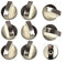 8 x Metal Control Knobs Universal Control Button Cooker Gas Stove Cooker Knobs Metal Silver Tone for Gas Stove Oven Cooker