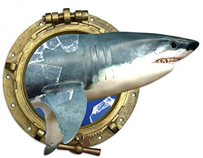 GRAZDesign Wandtattoo Bad Bullauge Hai Fisch | Wandsticker selbstklebend | Fliesenaufkleber Bad | Türaufkleber WC Fliesentattoo - 30x30cm