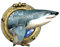 GRAZDesign Wandtattoo Bad Bullauge Hai Fisch | Wandsticker selbstklebend | Fliesenaufkleber Bad | Türaufkleber WC Fliesentattoo - 30x30cm