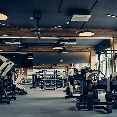 Muralo Tapete Selbstklebend Fitness, Fitnesscenter, Sport, 3D - 416x254 cm | Moderne Fototapete, hochauflösender Druck - ideal für Wohnzimmer und Schlafzimmer, Ein echter Hingucker in jedem Zuhause