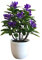 SuperglockT Kunstblumen Orchidee im Topf Kunstpflanze Künstliche Orchidee Blumen Bonsai Kunstpflanzen Kunststoff Phalaenopsis Deko für Hochzeit Party Büro Gesamthöhe:ca.25cm (Lila)