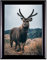 Rahmendesign24 Posterrahmen Fiona 45x60 Schwarz (hochglanz) Fotorahmen, Wechselrahmen, Bilderrahmen