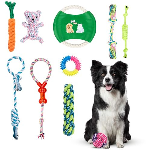 ASAB 10 Pcs Dog Chew Toys - Assorted Dog Chew Toy Set - Cotton Rope Toys for Small, Medium Dogs - Reduce Boredom, Anxiety & Promote Dental Health
