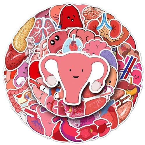 50 Stück Menschliche Organe Aufkleber Auto Laptop Telefon Gitarre Skateboard Motorrad Fahrrad Human Organ Stickers Set Vinyl Wasserdicht Aesthetic Aufkleber für Jugendliche Kinder Erwachsene