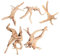 XINGYUXUXIN Lot de 5 troncs en bois flotté naturel pour aquarium Branches assorties 9,9 à 15 cm