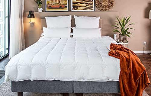 BEFA NATUR Made in Germany Tencel Daunendecke 200x220 cm aus 90% Daunen und 10% Federn, Sommerdecke, Allergiker geeignet (Nomite), EN Standard 12934, Öko-Tex 100 Klasse 1, Downpass