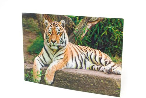 Artist Unknown 3D Postkarte Tiger, Wackelkarte Hologrammkarte Raubkatze, 16 x 11 cm, Modern Nature, Tier, Allgemein, Kinder und Erwachsene, Tierliebhaber