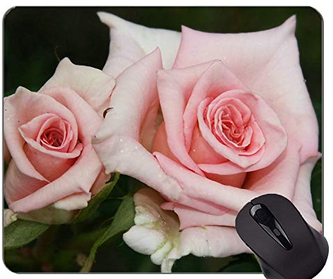 Gaming Mouse Pad Benutzerdefinierte, wunderschöne Natur Rose - Genähte Kanten