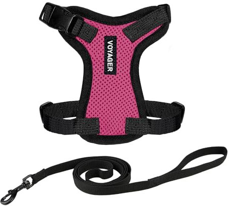 Voyager Step-in Lock Katzengeschirr und reflektierende Katzenleine mit Neoprengriff by Best Pet Supplies - Unterstützt kleine, mittlereund große Katzenrassen, Fuchisa/Schwarzer Rand, size XXXS - 1,5 m