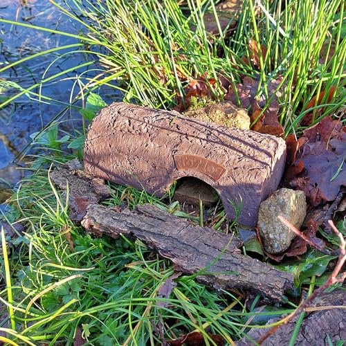 Wildlife World Simon King Frosch Holzscheite