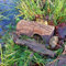 Wildlife World Simon King Frosch Holzscheite