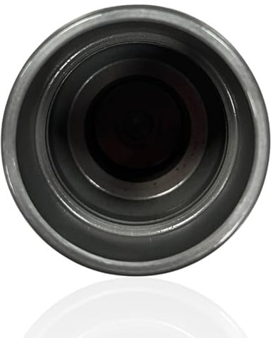 Advantage Auto Parts Compatible with VW Sharan Vento Brake Caliper Piston Repair Kit Rear 88-10 Pair