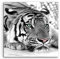 Sinus Art Wandbild quadratisch 60x60cm Künstlerische Fotografie – Weißer Tiger mit grünen Augen