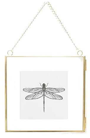 20x20 cm Cadres Photo Cuivre Laiton Suspendu Flottant Verre Cadre Photo Or Ornement Géométrique Spécimen D'usine Clip Vertical Décor Carte Oeuvre Photo Support D'affichage Cadre en Verre Seulement