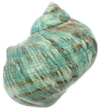 Yardenfun Grüne Muschel Muscheldekor Aquarium-Muschel-Couch-dekor Nautilus-Muschel-skulptur Schale Blumenvase Muscheln Zum Dekorieren Seeglas Einsiedlerkrebs Riese Strand Natürliche Muschel