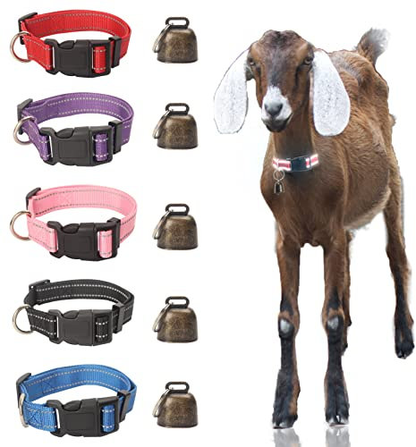 NEOGULY Reflektierendes Nylon-Halsband für Ziegen und Schafe mit Kupferglocken, verstellbar (34,8–53,3 cm), einfache Positionierung, Anti-Verlust, 5 Farben, 5 Stück