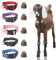 NEOGULY Reflektierendes Nylon-Halsband für Ziegen und Schafe mit Kupferglocken, verstellbar (34,8–53,3 cm), einfache Positionierung, Anti-Verlust, 5 Farben, 5 Stück