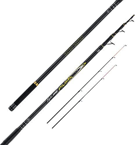 BAD BASS Angelrute Feder, Surfcasting, 60/80 g, in zwei Größen erhältlich (4,20 m)