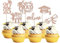24 Stück 2025 Abschluss Tortendeko, 2025 Graduation Cupcake Toppers So Proud of You Kuchen Deko Grade Cap Torten Dekorationen für 2025 Abschluss Party Kuchen Dekoration Rosegold