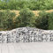 LAPOOH Gabionen mit Hochbogen 8 STK Gabionenkörbe, Gabionen Hochbeet, Steinkorb, Gabionengitter, Drahtkorb Für Pflanzen, Kräuterspirale Für Garten, 400x50x60/80cm Verzinktes Eisen