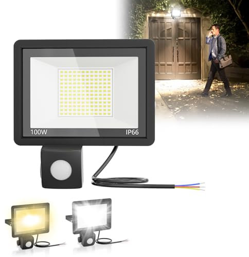 Froadp LED Außenlampe mit Bewegungsmelderr Aussen Strahler mit 35cm Stromkabel IP66,100W Außenstrahler aus Aluminium-Druckguß,Fluter Licht für Garten,Terrasse,Garage,Hof (Ohne Stecker, Kaltweiß)