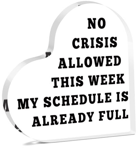 Social Worker Office Decor Funny Acrylic Plaque for Colleague Friends Boss Office Desk Decor for Employees Boss Lady Desk Accessories Christmas Birthday Present for Team Manager Friends