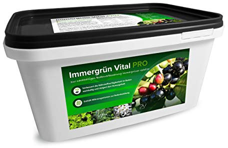 Profi-Vertrieb UG - Immergrün Vital Pro Alpakadünger I organisch mineralischer NPK Dünger mit Alpaka Dung I Naturdünger für immergrüne Gehölze I biologischer Pflanzendünger geruchsneutral 2,3kg