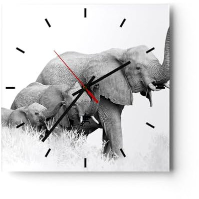 Modern Wanduhr Elefanten Familie Schwarz und Weiß 40x40cm Quadrat Groß Wand Uhr Glas Analog Zimmeruhren Küche Büro Wohnzimmer Glasuhr Wall Clock Dekoration Design Küchenuhr C3AC40x40-4374