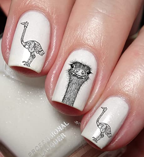 Ostrich Lovers Nail Art Decal Sticker