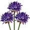 Hollyone 3PCS künstliche Agapanthus Blumen für Dekoration, 30'' Long Stem Real Touch Fake afrikanischen Lilie Blumen violett, Faux Seide Lilie Blume für Frühling Home Office Hochzeit Tisch Centerpiece