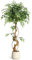 Litake Kunstpflanzen Künstlicher Ficus Baum 120 cm mit Weiß Topf,Große Grüne Künstlicher Birkenfeige,Große Pflanzen Indoor Outdoor Haus Büro Garten Moderne Dekoration Housewarming Geschenk(120 cm)
