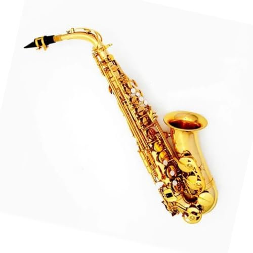 Saxophon Komplettset mit Golden Sax Tenor/Alt Sax Bb (oder C) Einsteiger-Performance-Modell(Alto)