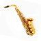 Saxophon Komplettset mit Golden Sax Tenor/Alt Sax Bb (oder C) Einsteiger-Performance-Modell(Alto)