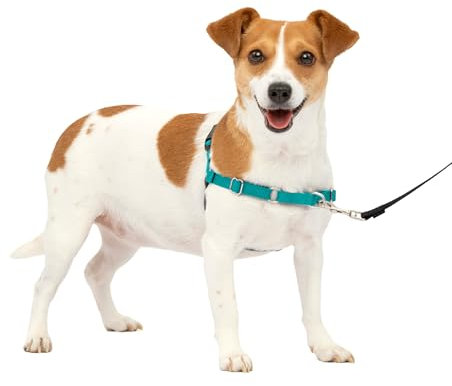 PetSafe, Easy Walk Hundegeschirr, das ultimative Geschirr gegen Ziehen bei Spaziergängen, übernimm die Kontrolle und lehre EIN besseres Leinenverhalten, Small, Petrol/Grau