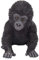 Vivid Arts „Pet Pal“, Baby-Pinguin-Figur