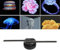 Ventilatore Olografico 3D con Controllo APP, Videoproiettori a 2 Pale con 224 Perline, Display Pubblicitario Ventilatore Olografico Portatile, Proiettore Olografico 3D a Luce LED
