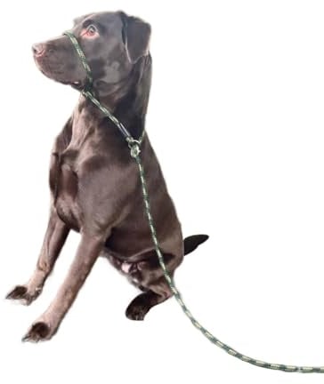 No More Pulling! Anti Pull Lead Field Figure 8 / Halter/Head Collar One Size Fits All Super Soft Braided Nylon Comfortable Make Your Walks More Enjoyable -Instructions Included (Green/Olive)