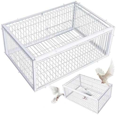 Trampa para Palomas, Trampa para pájaros con entradas de Acceso unidireccional y tragaluz, Jaula de Metal para Palomas de 16 x 12 x 10 Pulgadas para Granjas, graneros, Jardines, cría de, jaul