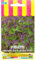 Sachet de graines de Violette odorante des 4 saisons - 0,3 g - LES GRAINES BOCQUET