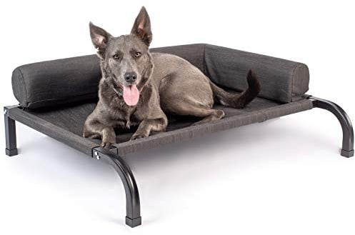 PetFusion Ultimatives erhöhtes Outdoor-Hundebett mit robustem Stahlrahmen, Gartenmöbel für Hunde, wasserabweisend, kühlendes Hundebett mit Schutzhülle, Größe XL (119,4 x 109,2 x 27,9 cm)